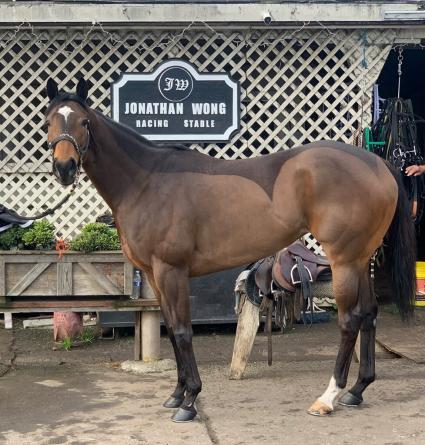 Night of Idiots at Golden Gate Fields on January 24, 2020 (Jonathan Wong)