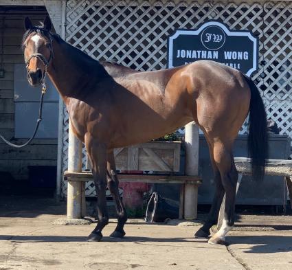 Night of Idiots outside the barn at Golden Gate Fields on February 25, 2020 (Jonathan Wong)