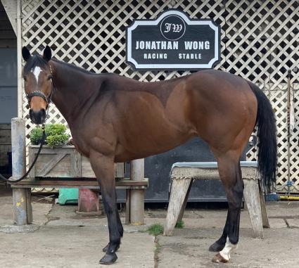 Night of Idiots outside the barn at Golden Gate Fields on Thursday April 9, 2020 (Jonathan Wong)