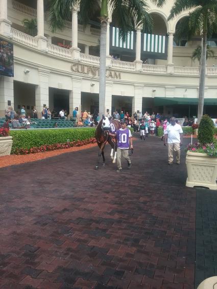 Adios Charlie filly Blue Eyed Beth at Gulfstream Park on February 22, 2019. (Bev Anderson)