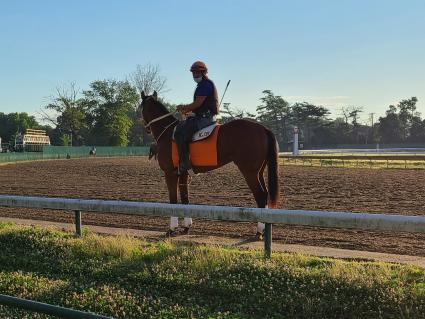 Seven Seven training at Monmouth Park on June 26, 2020 (Jack Czajkowski)