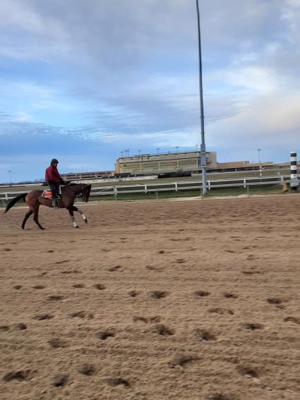 Blu Candy training at Penn National on January 9, 2020 (Mark Salvaggio)