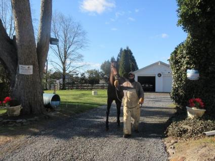 Blu Candy at Sunset Meadow Farm on December 29, 2020 (Jeanne Vuyosevich)