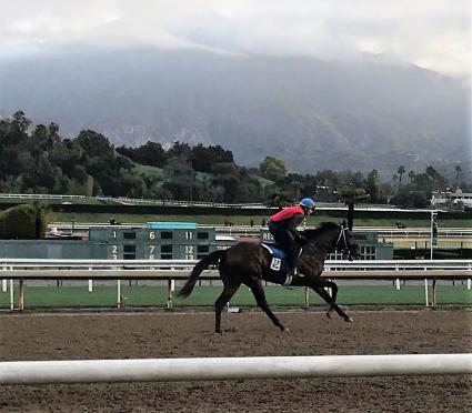 Ghostzapper colt Bullion training at Santa Anita on January 18, 2019 (Mark Forney)