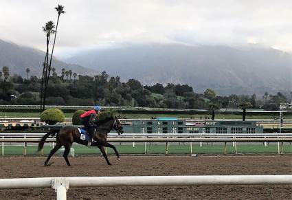 Ghostzapper colt Bullion training at Santa Anita on January 18, 2019 (Mark Forney)