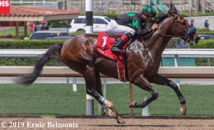 Ghostzapper colt Bullion breaks maiden in race 3 at Santa Anita on April 26, 2019 (Photo courtesy of Ernie Belmonte)