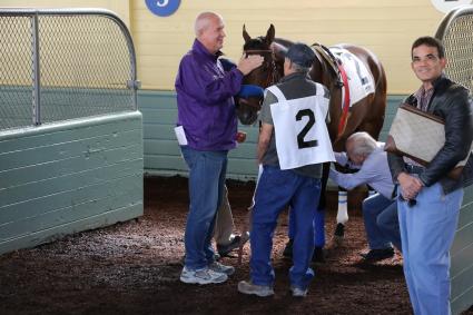 Ghostzapper colt Bullion debuts in race 2 at Santa Anita on February 23, 2019 (Alison Kaiser, MyRacehorse)