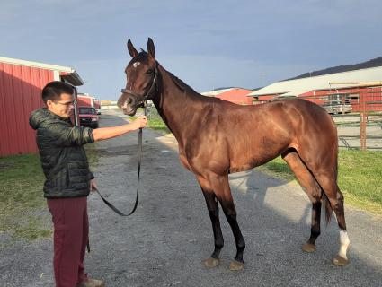 Byrnbella arrived safely at Penn National on April 7, 2021 (Mark Salvaggio)