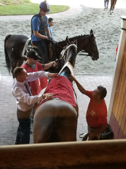 Diamond Play being saddled prior to winning race 9 at Suffolk Downs on September 16, 2018. (Sue Martins)