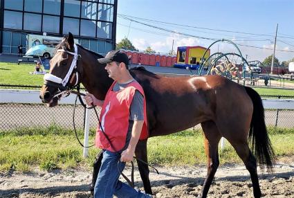 Diamond Play in the paddock prior to winning race 9 at Suffolk Downs on September 16, 2018.