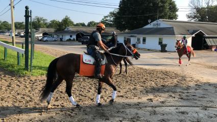 New Jersey-bred mare Diamond Play training at Monmouth Park