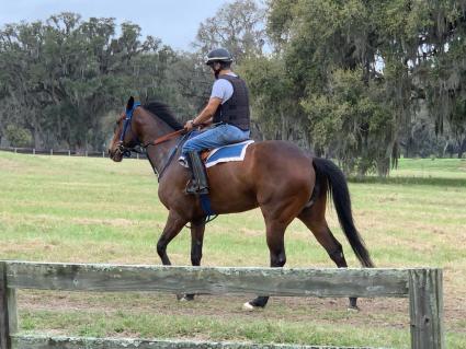 Diamond Play training at T-Square Stud on February 21, 2019 (Adam Parker)