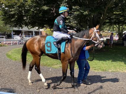 Easy as A.B.C, with Jose Ortiz up, in the paddock for Race 2 at Monmouth Park on Saturday, September 17, 2022 (Robert Bulger)