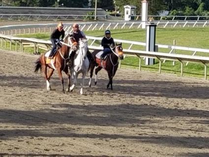 New Found Treasure (outside) training at Monmouth Park on August 24, 2019 (Jack Czajkowski)