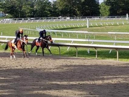 New Found Treasure (outside) training at Monmouth Park on August 24, 2019 (Jack Czajkowski)