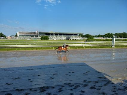 Federal Dominance at Monmouth Park on June 30, 2019 (Robb Levinsky)