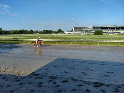 Federal Dominance at Monmouth Park on June 30, 2019 (Robb Levinsky)