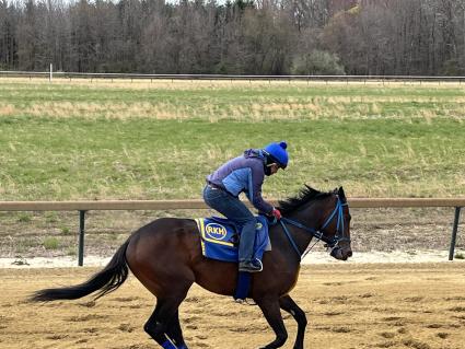 Fire's Finale at Overbrook Farm on Saturday, April 16, 2022 (Christopher Driscoll)