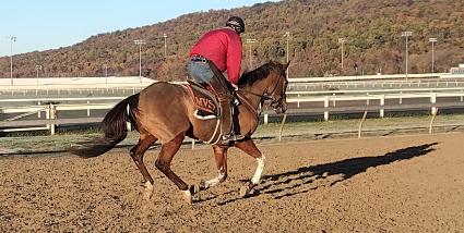 The Ghost of N Y training at Penn National on November 3, 2021 (Mark Salvaggio)