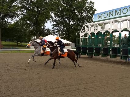 Giuliana Vee training at Monmouth Park on September 8, 2019 (Robb Levinsky)