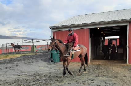 Giuliana Vee heading out to train at Penn National on January 6, 2020 (Mark Salvaggio)