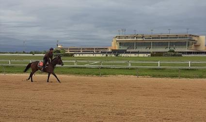 Giuliana Vee at Penn National on May 18, 2020 (Mark Salvaggio)