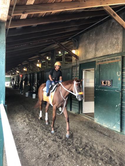 Two year old Flat Out filly Harbour Way training at Monmouth Park on August 15, 2018.