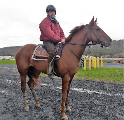 Flat Out filly Harbour Way at Penn National on October 29, 2018 (Mark Salvaggio)