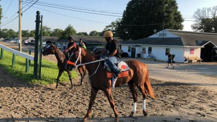 Two year old Flat Out filly Harbour Way training at Monmouth Park on August 15, 2018. 