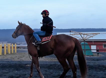 Flat Out filly Harbour Way training at Penn National on January 4, 2019