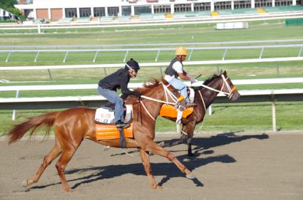 Flat Out filly Harbour Way at Monmouth Park