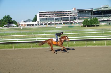 Flat Out filly Harbour Way training at Monmouth Park