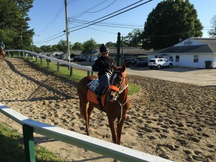 Flat Out filly Harbour Way training at Monmouth Park