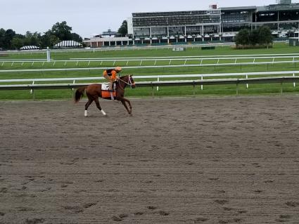 Flat Out filly Harbour Way training at Monmouth Park on Friday, September 21, 2018. (Jack Czajkowski)