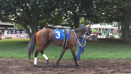 Highwaytwentyseven wins race 3 at Monmouth Park on Sunday, August 9, 2020