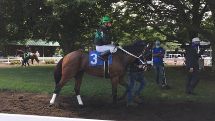 Highwaytwentyseven, with Antonio Gallardo in the irons, wins race 3 at Monmouth Park on Sunday, August 9, 2020