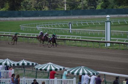 Highwaytwentyseven, with Antonio Gallardo in the irons, wins race 3 at Monmouth Park on Sunday, August 9, 2020