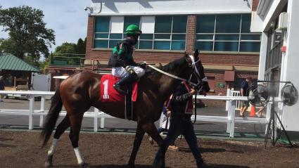 Highwaytwentyseven, with Antonio Gallardo in the irons, runs in race 5 at Monmouth Park on September 7, 2020