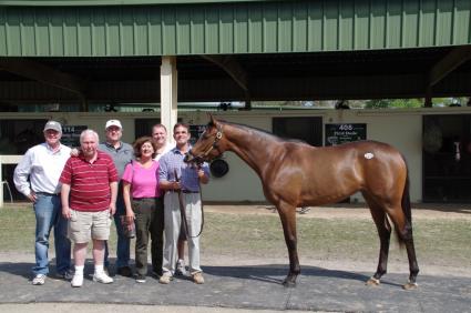 OBS March 2019 purchase - Hip 224 (Into Mischief - Home Rule) filly