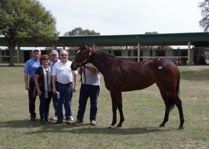 OBS March 2019 purchase - Hip 476 – Life on the Edge (Competitive Edge - Simply Precious) filly