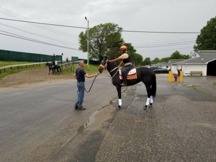 Shimmyshimmy Shake at Monmouth Park on May 23, 2019 (George Katzenberger)