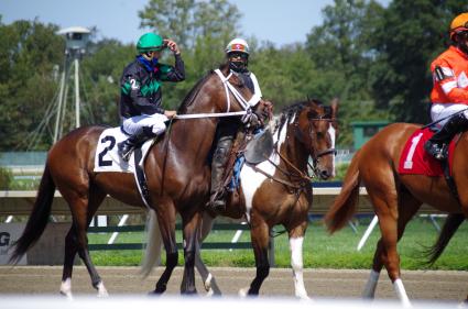 Fire's Finale, with Hector Diaz in the irons, ran in race 3 at Monmouth Park on September 7, 2020