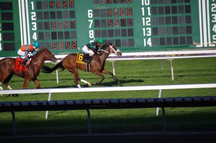 Tracy Ann's Legacy, with Jose Ferrer up, runs in the Virgil "Buddy" Raines Stakes at Monmouth Park on October 3, 2020