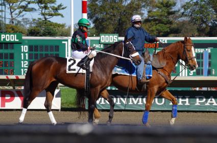 Adhwaa, with Jose Ferrer up, in race 5 at Monmouth Park on October 17, 2020