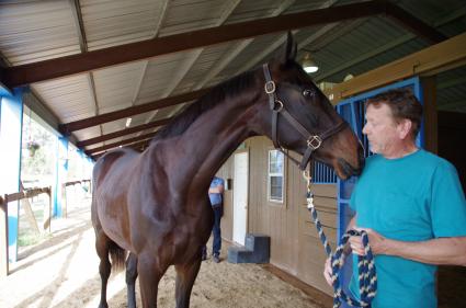 Jump Start colt Start a Fire training at T-Square Stud on March 13, 2019