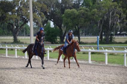 Jump Start colt Start a Fire training at T-Square Stud on March 13, 2019