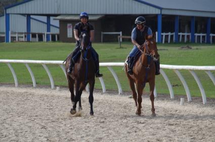 Jump Start colt Start a Fire training at T-Square Stud on March 13, 2019