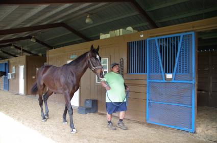 Jump Start colt Start a Fire training at T-Square Stud on March 13, 2019