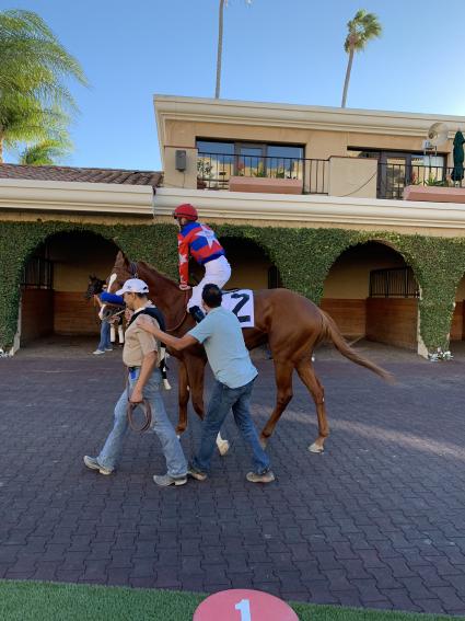 More Ice wins an allowance at Del Mar on November 12, 2018 (EH)