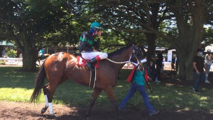 Life on the Edge in race 3 at Monmouth Park on Saturday, July 18, 2020 (Christopher Driscoll)